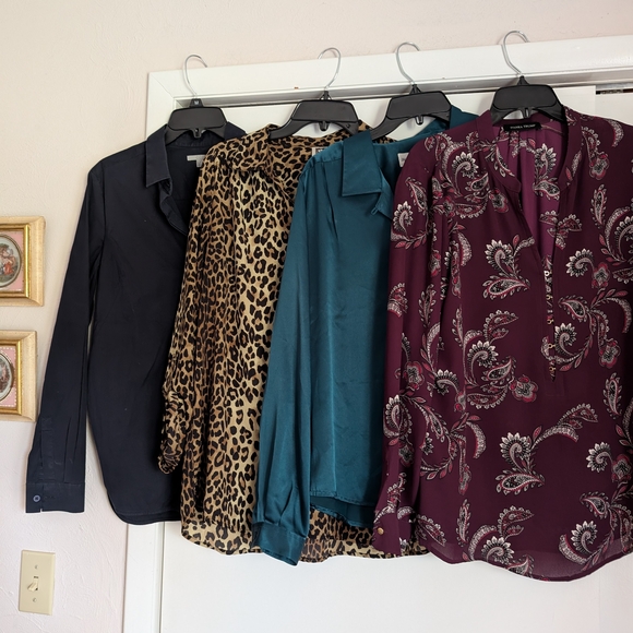 Ladies 12 Pc Assorted Tops & Blouses - Lg - Picture 4 of 4